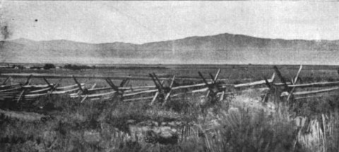 1898honeylake