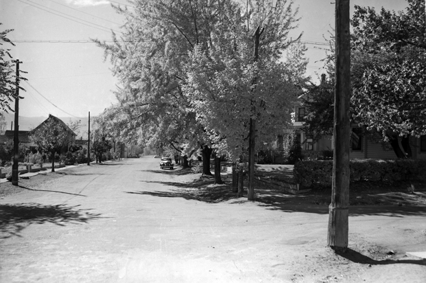 northandnorthroop1941 image