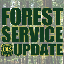 forestserviceupdate image