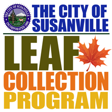 cityleafcollection image