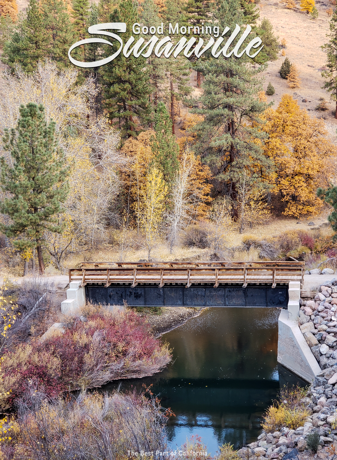 102422bizzbridge image