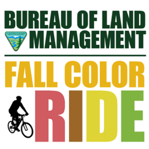 blmfallcolorride330-300x300 image