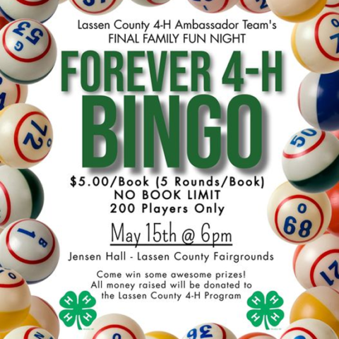 4hforeverbingo-480x480 image