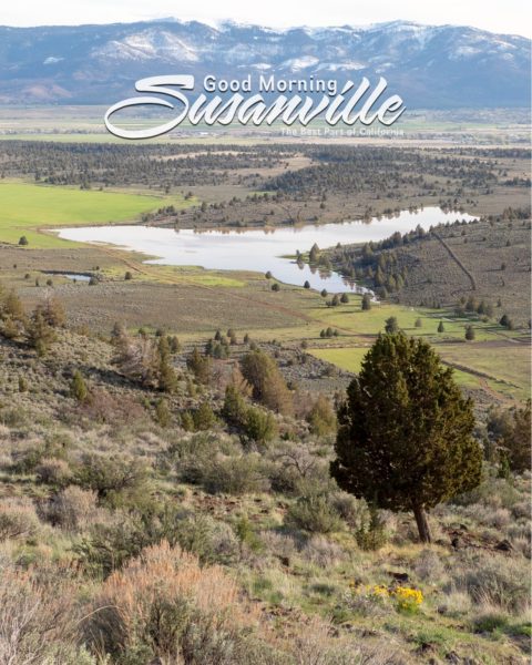 18259546954145969_susanvillestuff