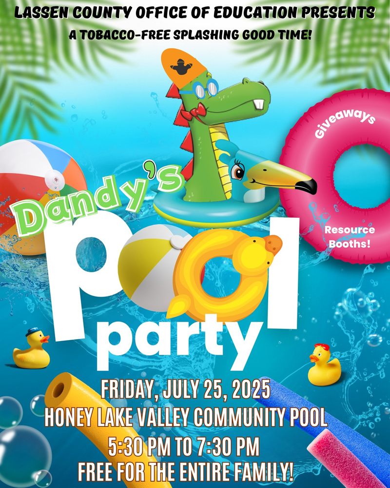 dandypoolparty